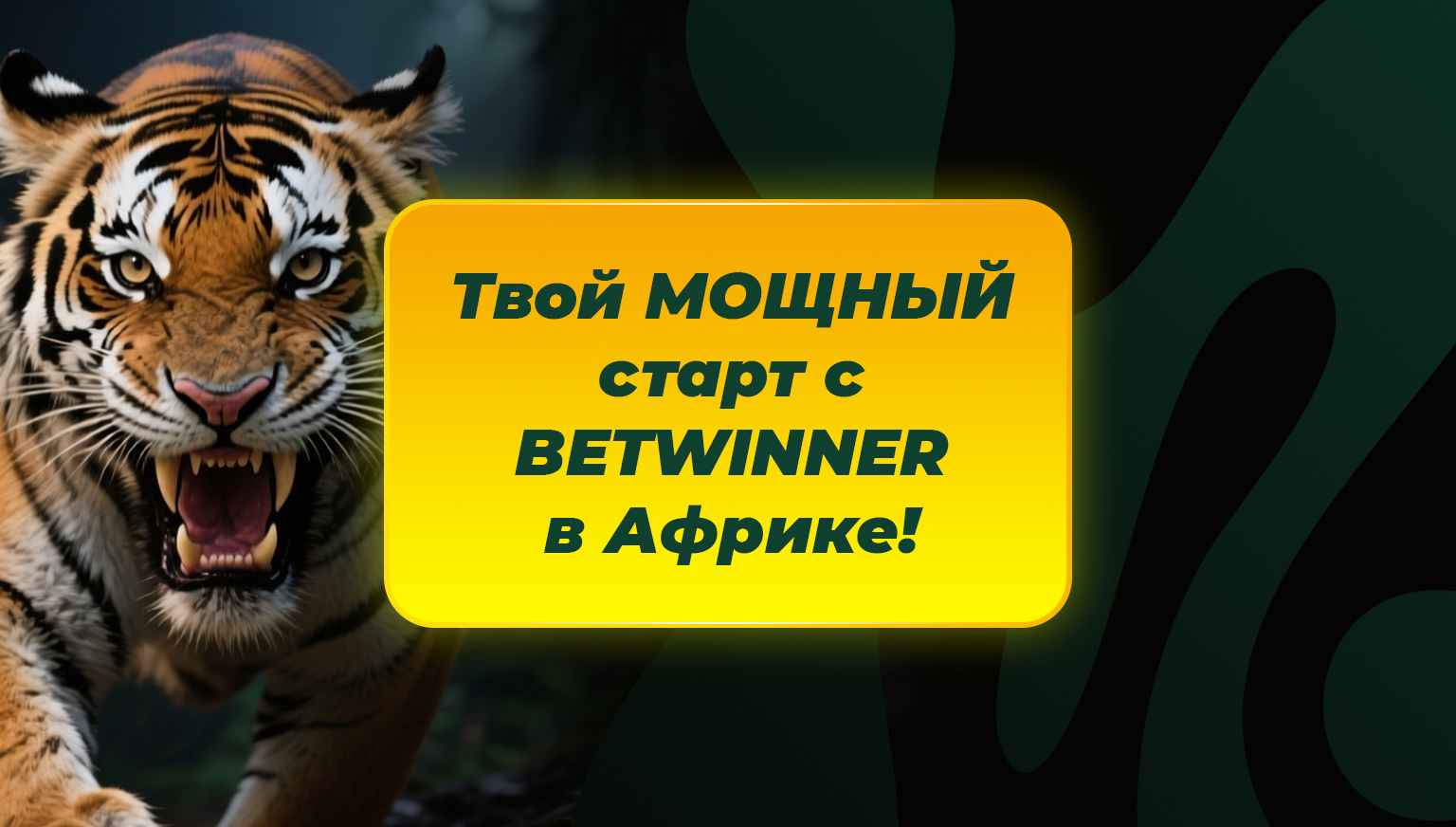 BETWINNER Affiliates