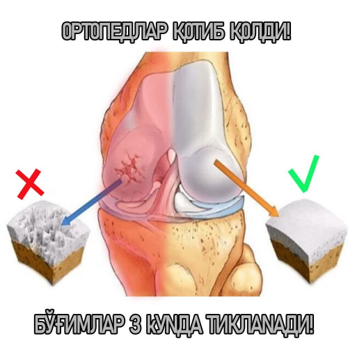 актуальные подходы для нутра-офферов