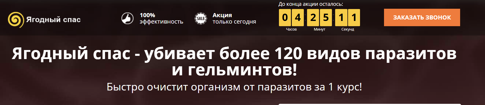 Счетчик на лендинге. Пример лаконичной заметной формы заявки. Источник: kma.biz