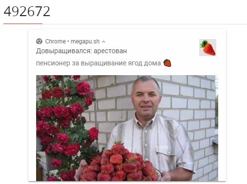 кейс ягодница