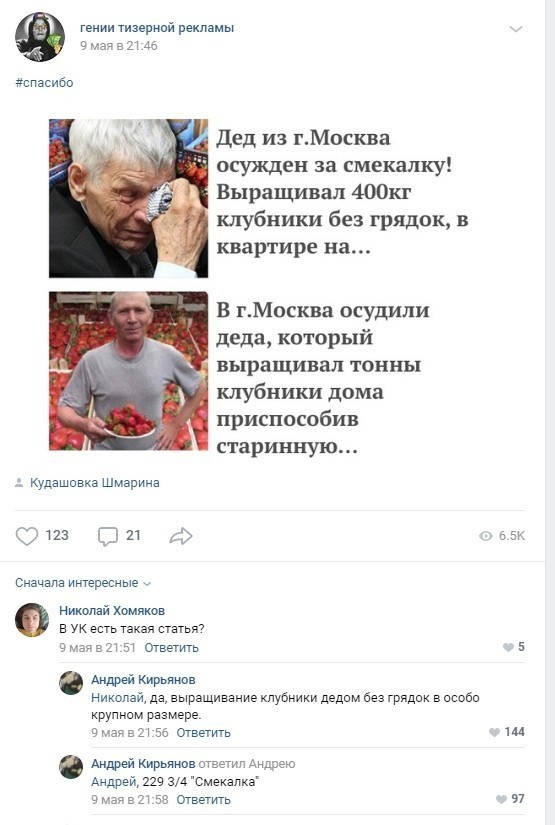 кейс ягодница