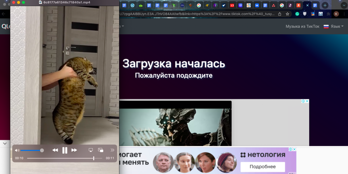 скачать видео с ТикТок без водяных знаков