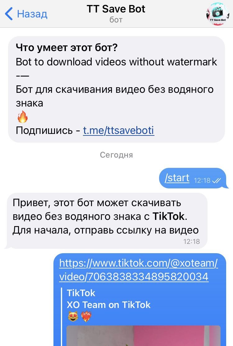 скачать видео с ТикТок без водяных знаков