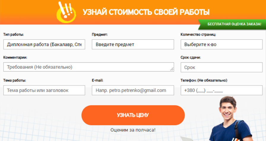 essay ниша