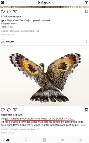алгоритм instagram
