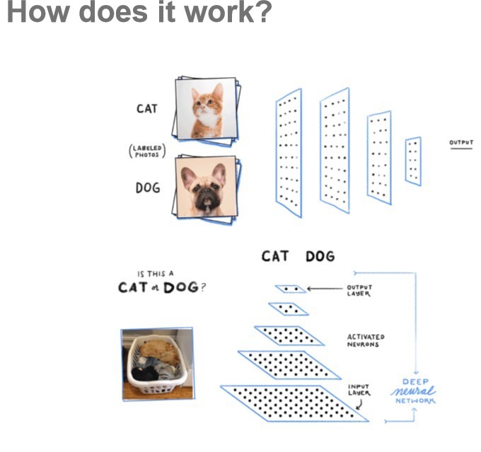 Google Think Performance