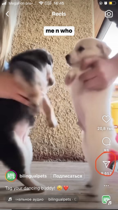скачать видео из Инстаграм