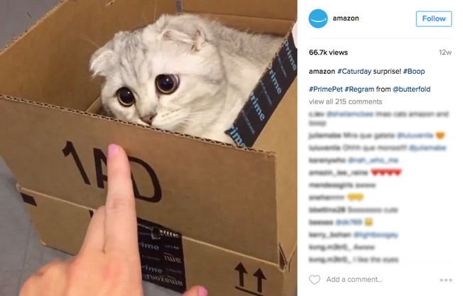 instagram маркетинг