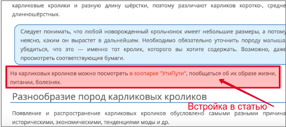 Бесплатный трафик 2019