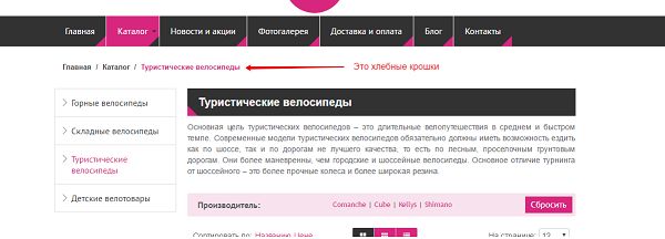 экспресс-аудит сайта