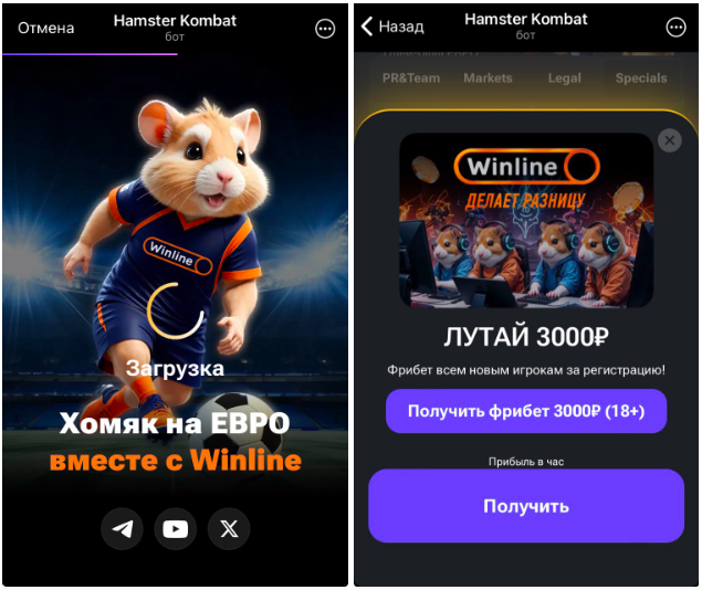 Hamster Kombat winline