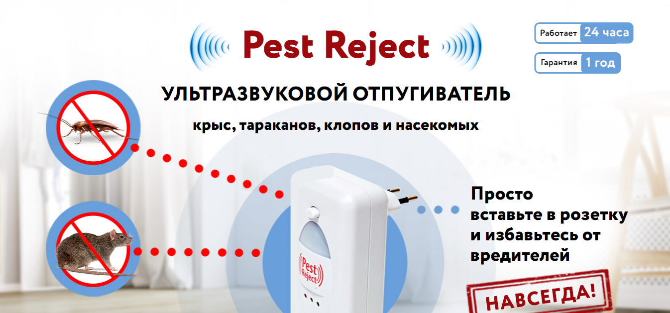 На что лить в июне