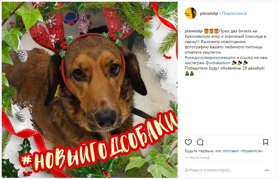 идеи для новогодних конкурсов в Instagram