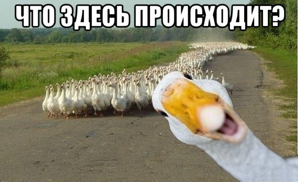 instagram 2017