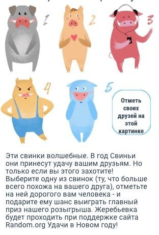 как провести акцию в соцсетях