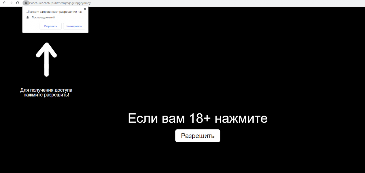 трафик на push-подписках