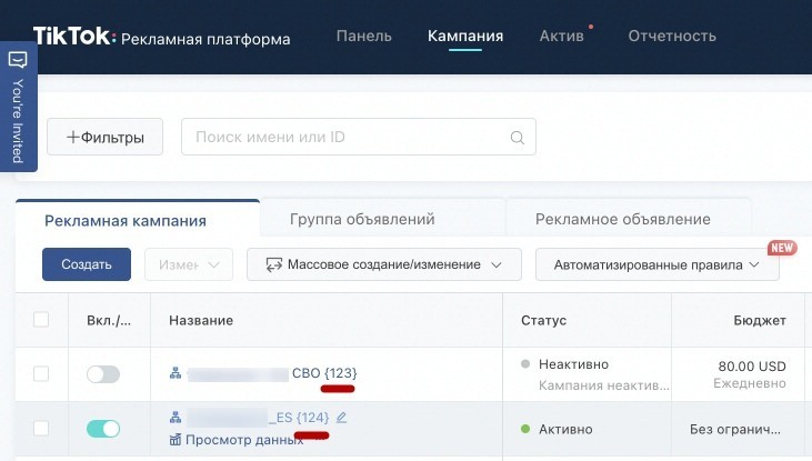 Скрипт для подтягивания расходов из TikTok