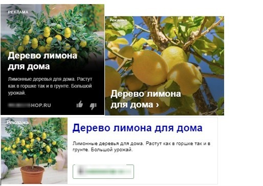 Кейс Экодар