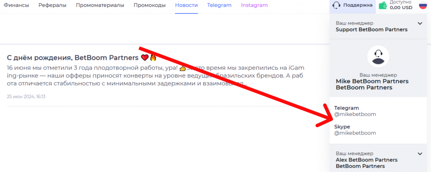 саппорт BetBoom Partners