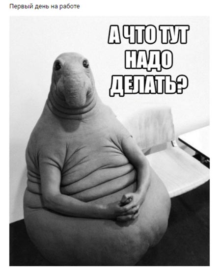 18 фишек промопостов | Изображение 7