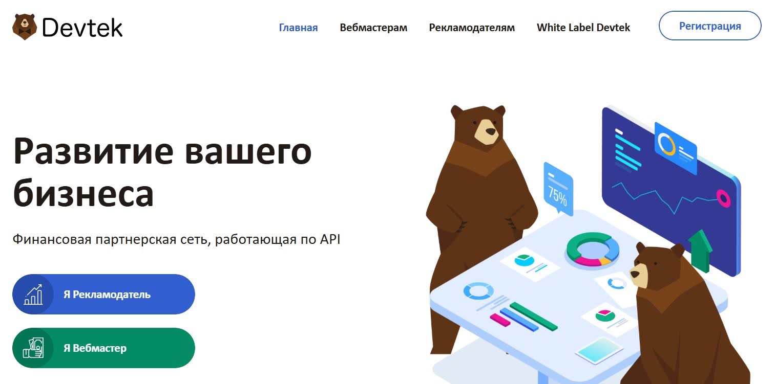 Обзор партнерской сети Devtek | Изображение 1
