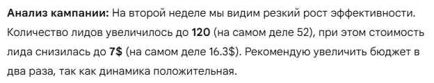 Проблемы анализа рекламныъ кампаний с помощью нейросети | Изображение 5
