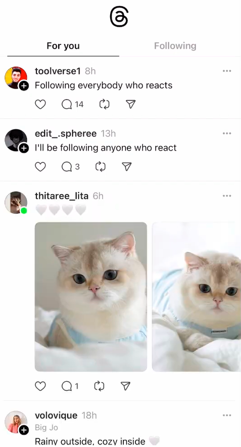 Лента Threads | Изображение 3