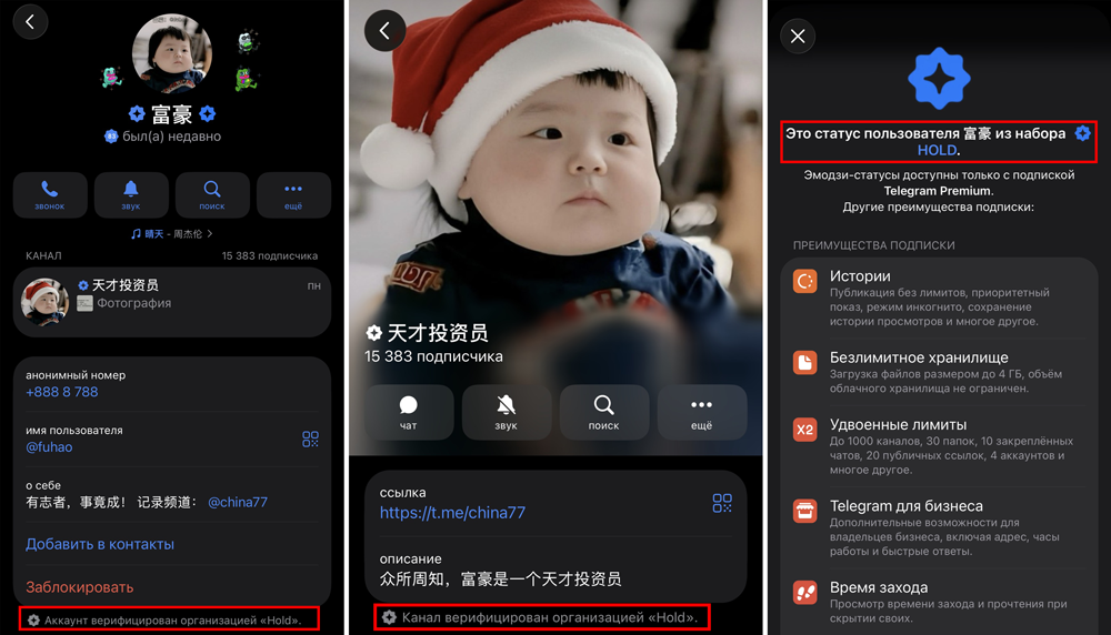 Скам в верификации в Телеграм | Изображение 4