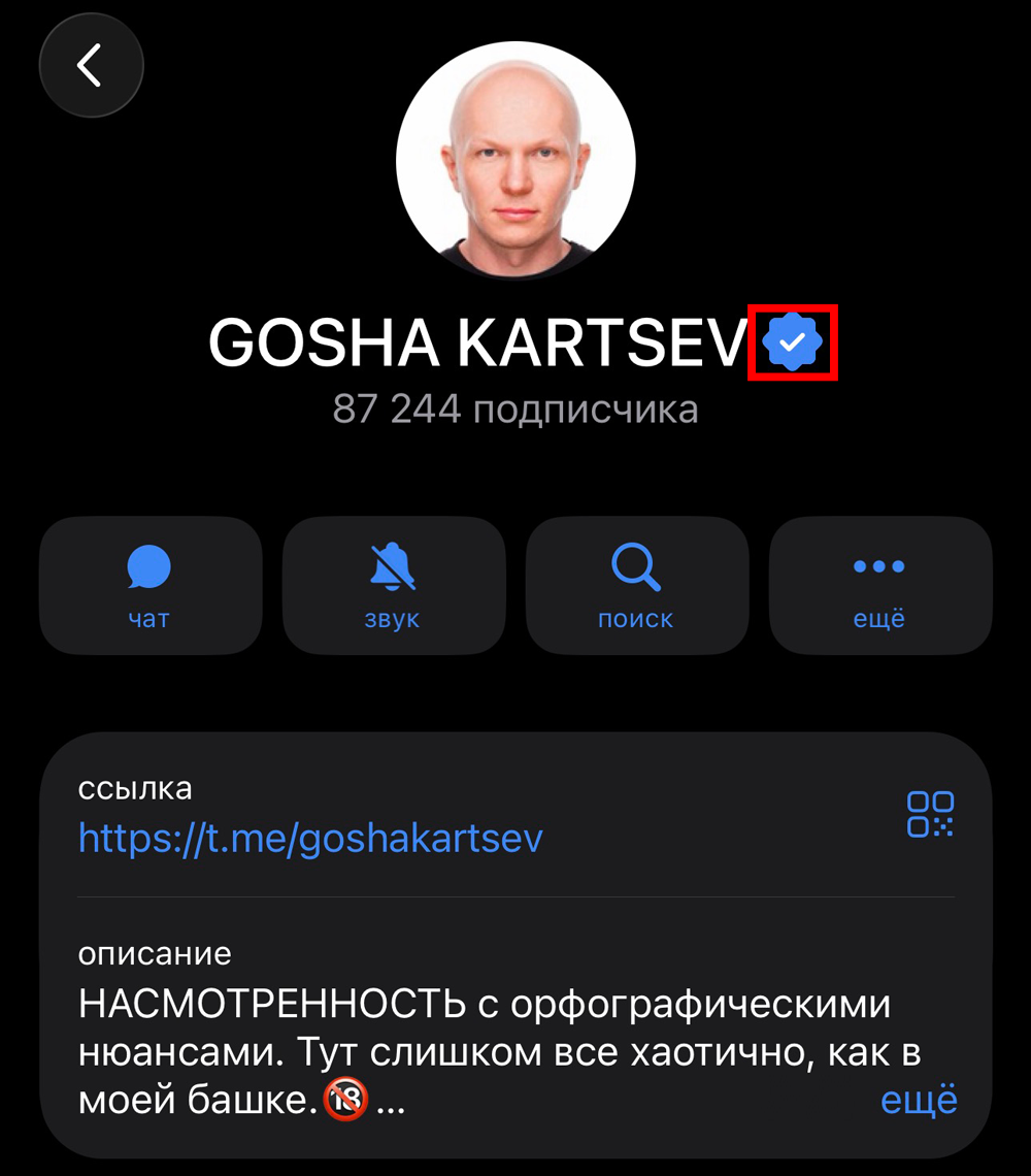 Как выглядит настоящая верификация в Телеграм | Изображение 7