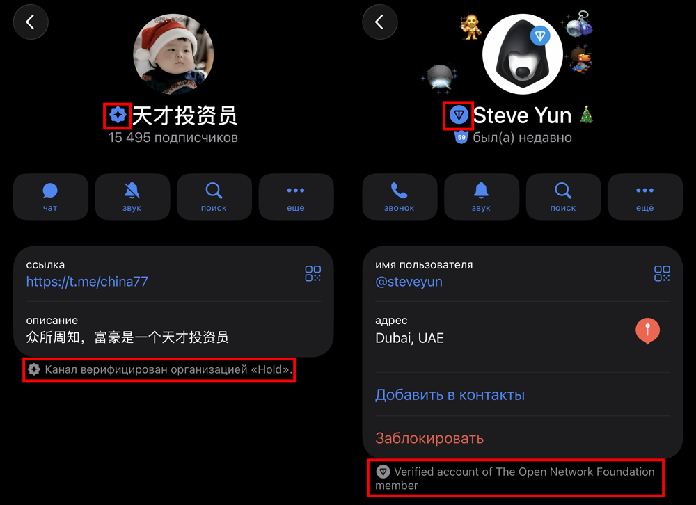 Как выглядит авторский значок в Телеграм | Изображение 8