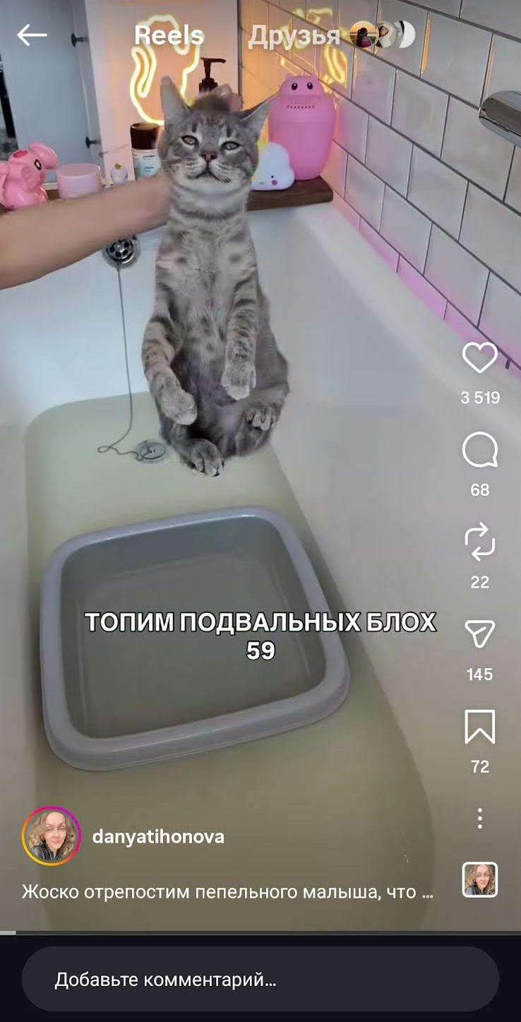 Что такое лента Reels в Инстаграм | Изображение 2