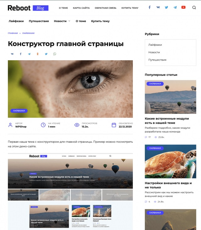 Платные темы для блога на вордпрес | Изображение 10