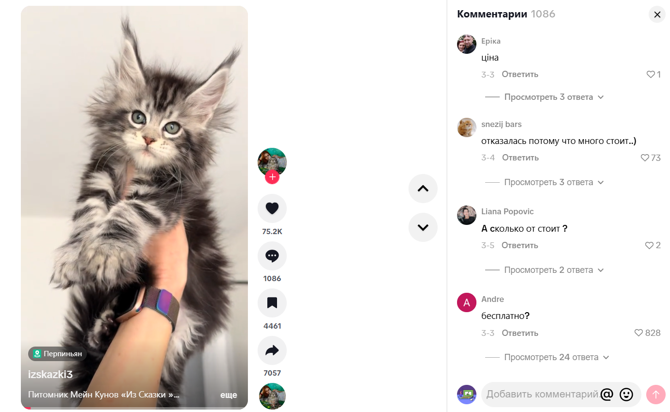 Как подключить автокомментарии в TikTok | Изображение 1