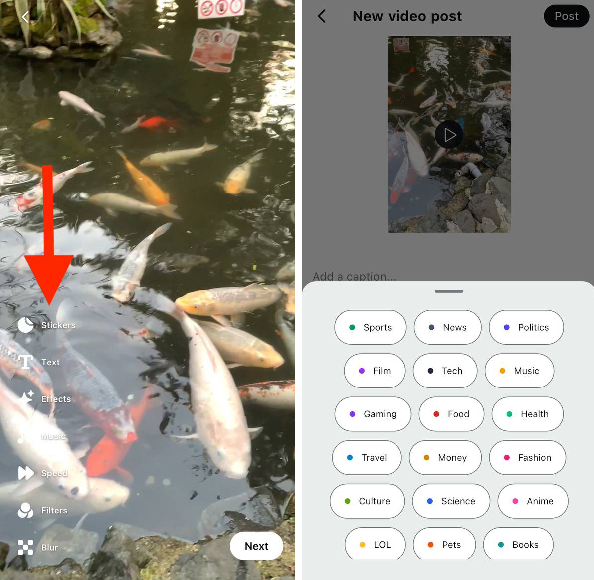 Какой контент публиковать в UpScrolled | Изображение 2