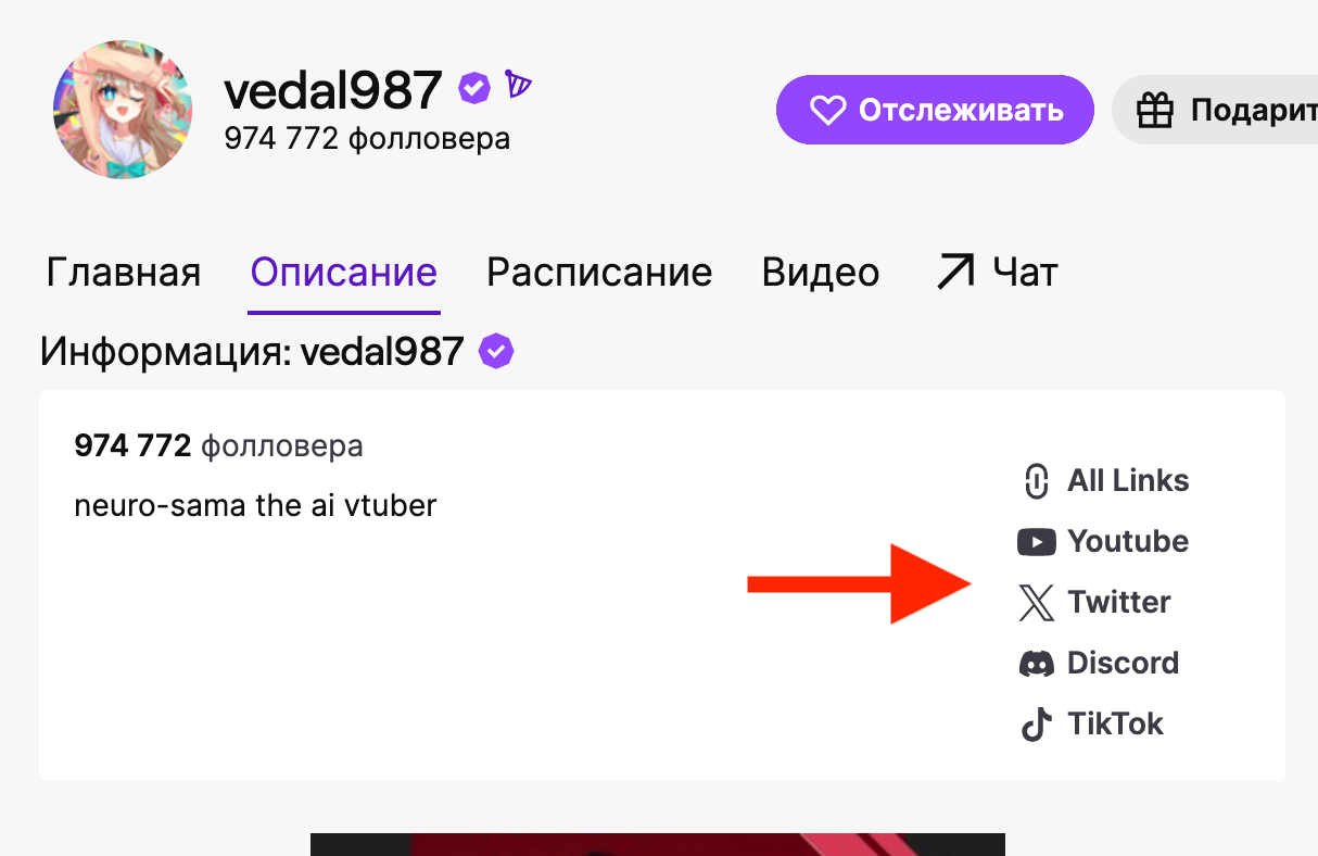Бесплатный трафик с Twitch | Изображение 7