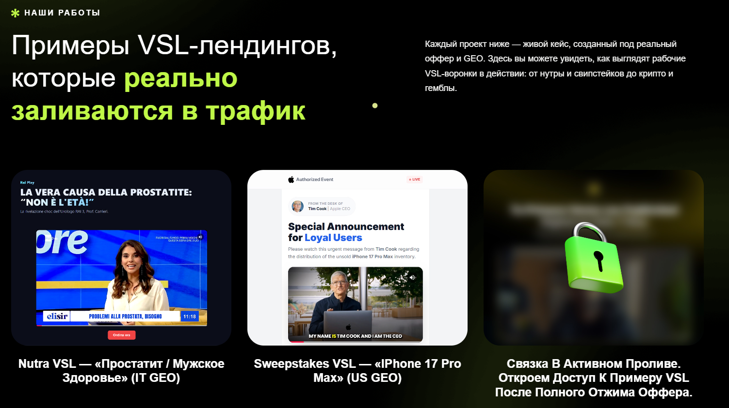 Примеры работ VSL Studio | Изображение 4