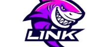 Логотип партнерской программы Sharklink